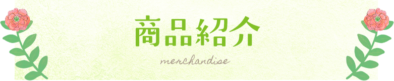 商品紹介